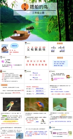 部编版三年级语文上册第15课搭船的鸟公开课PPT课件.pptx