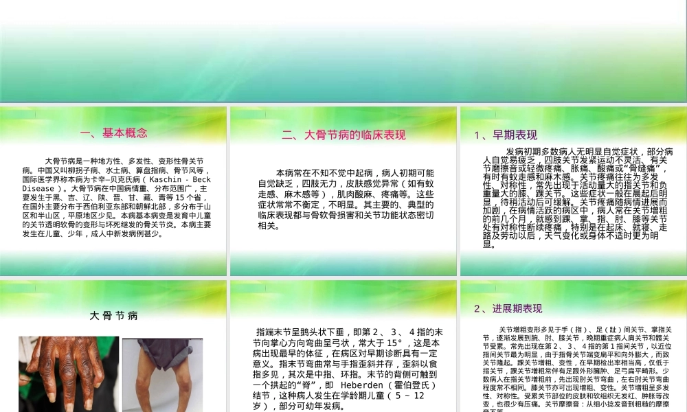 大骨节病基本知识PPT课件.ppt