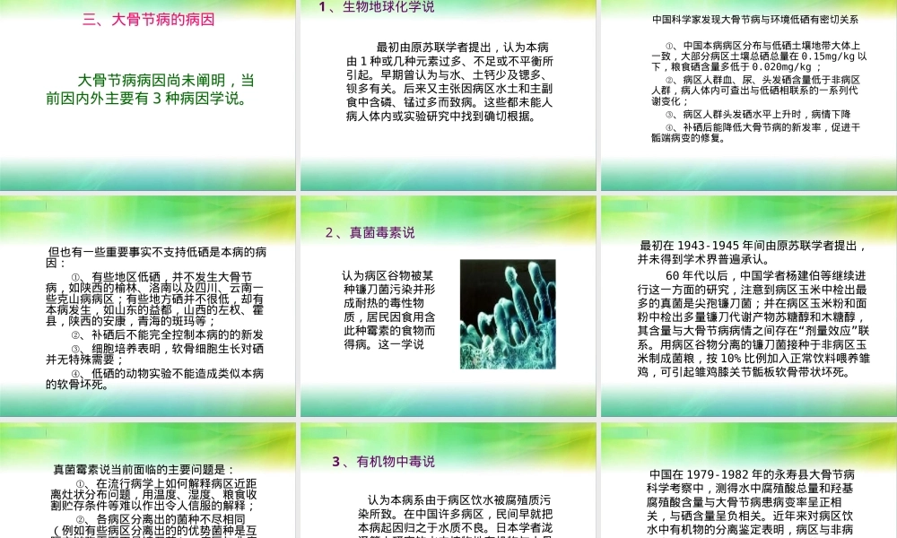大骨节病基本知识PPT课件.ppt
