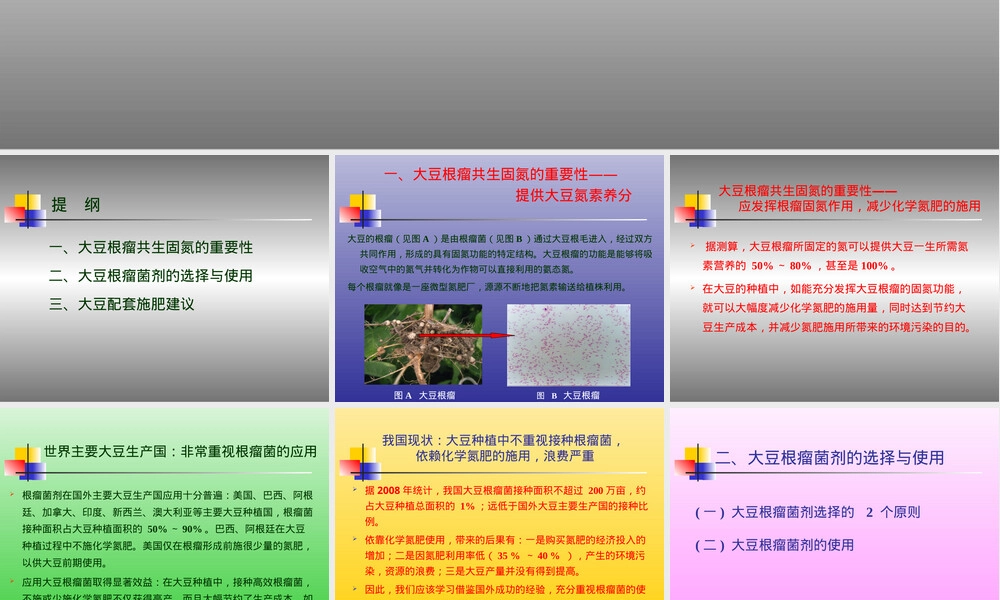 大豆根瘤菌剂应用技术培训PPT课件.ppt