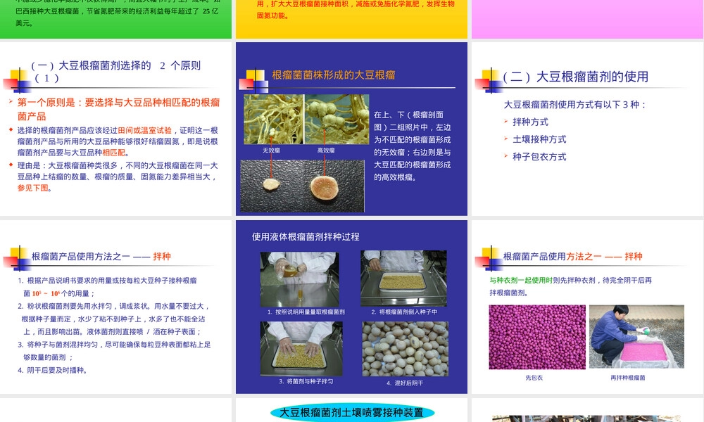大豆根瘤菌剂应用技术培训PPT课件.ppt
