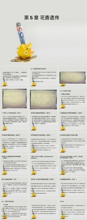 第5章花香遗传教学PPT课件.ppt