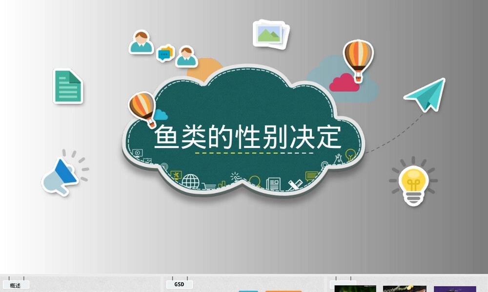 鱼类的性别决定PPT课件.pptx
