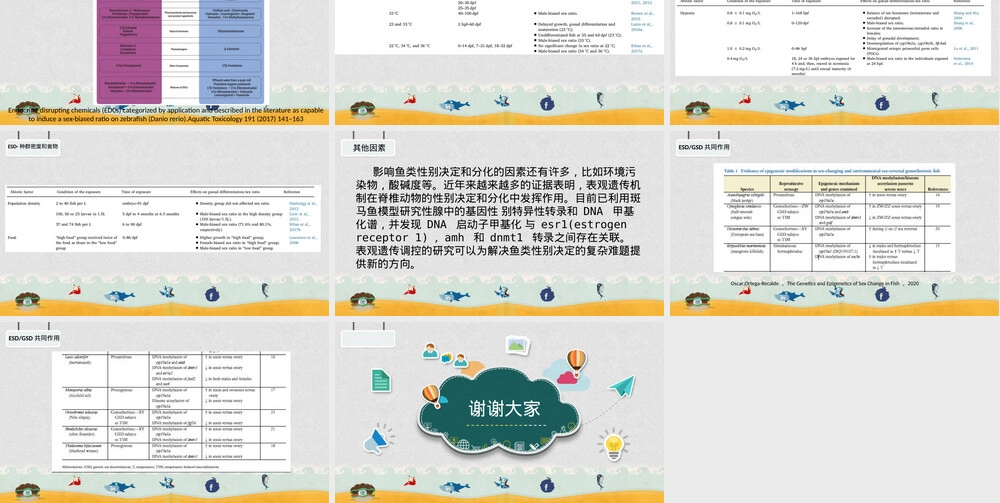 鱼类的性别决定PPT课件.pptx