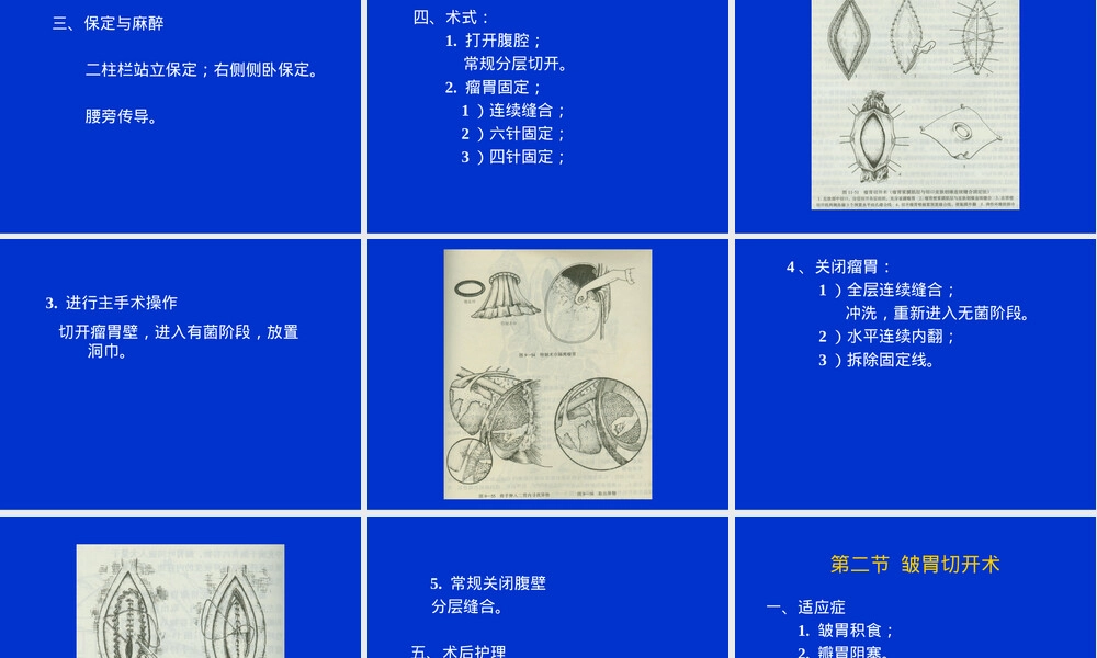 牛的胃肠手术教学PPT课件.ppt