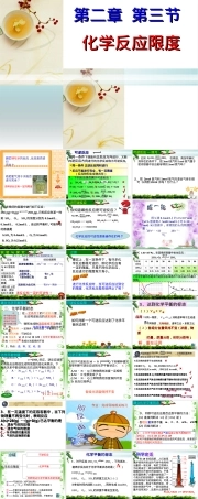 必修二化学反应的限度公开课PPT课件.ppt