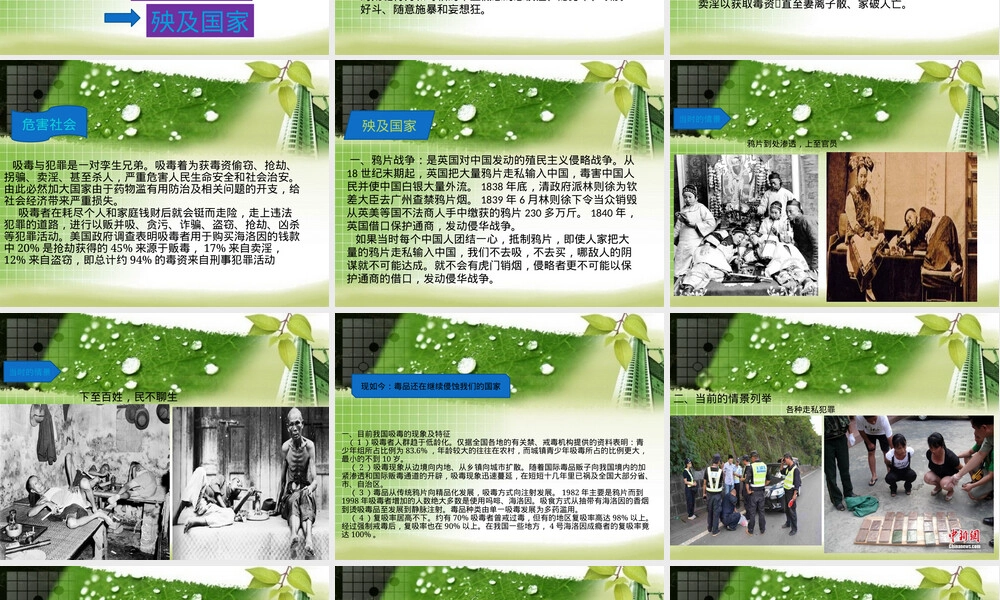 禁毒教育PPT课件 副本1.pptx