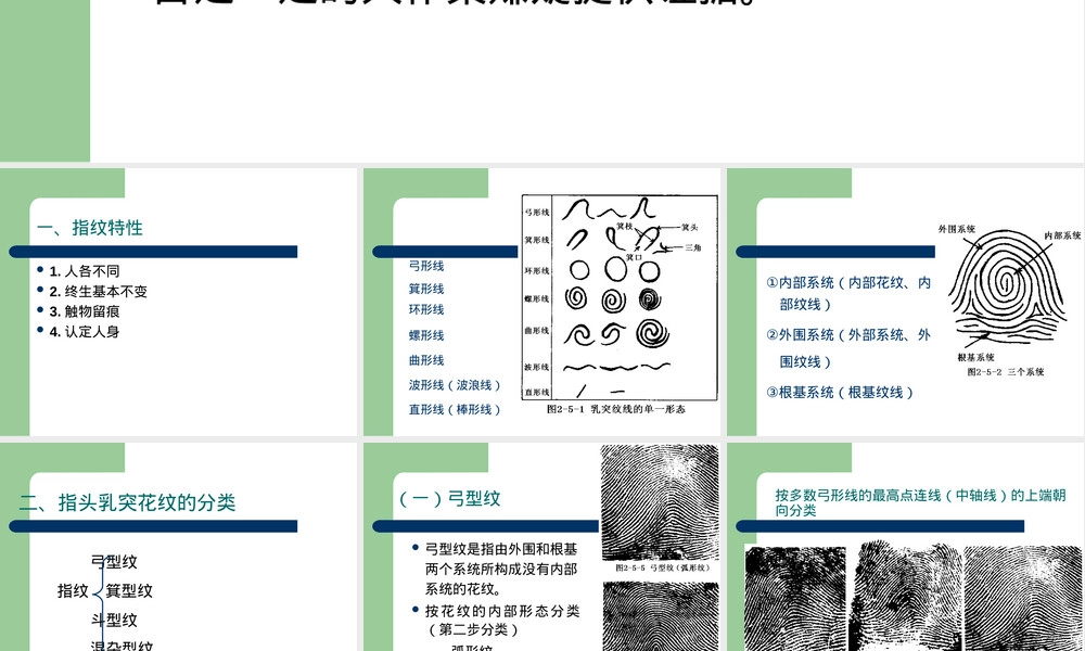 刑事侦查指纹教学PPT课件.ppt