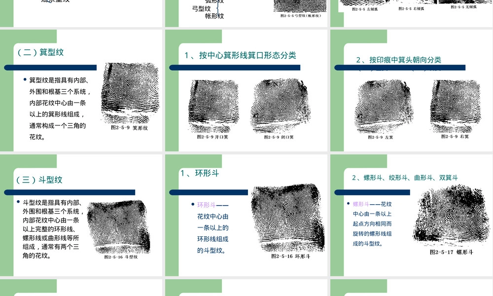 刑事侦查指纹教学PPT课件.ppt