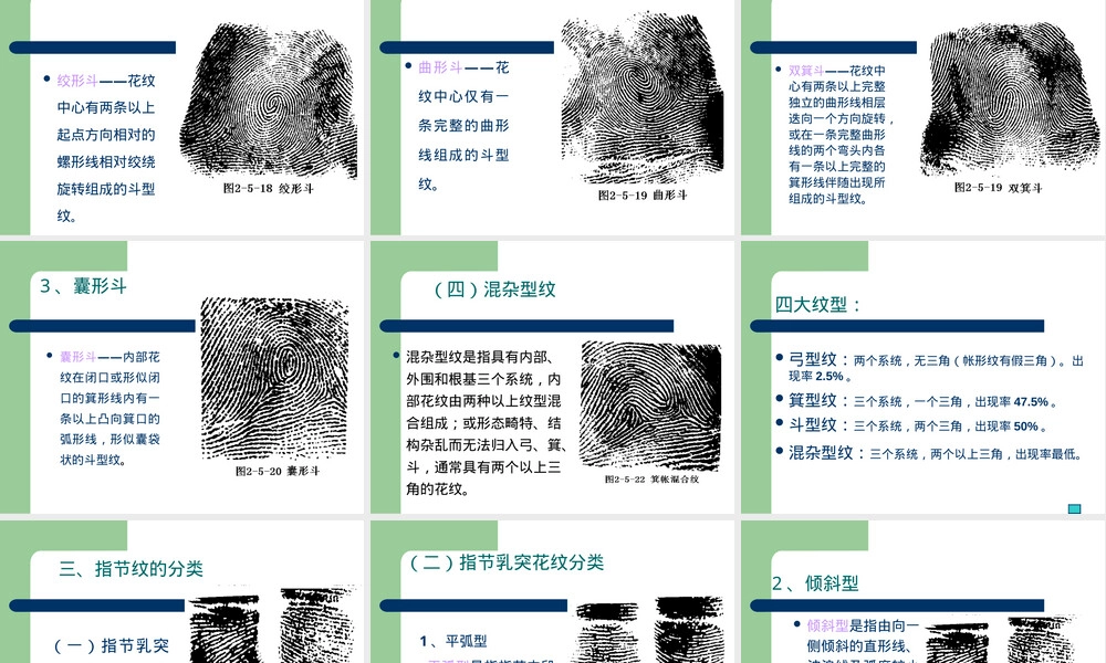 刑事侦查指纹教学PPT课件.ppt