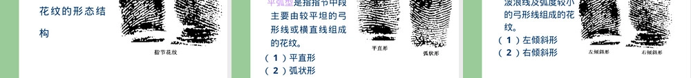 刑事侦查指纹教学PPT课件.ppt