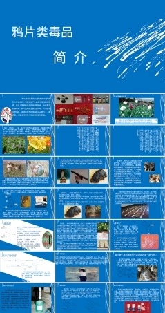 鸦片类毒品科普教育PPT课件.ppt