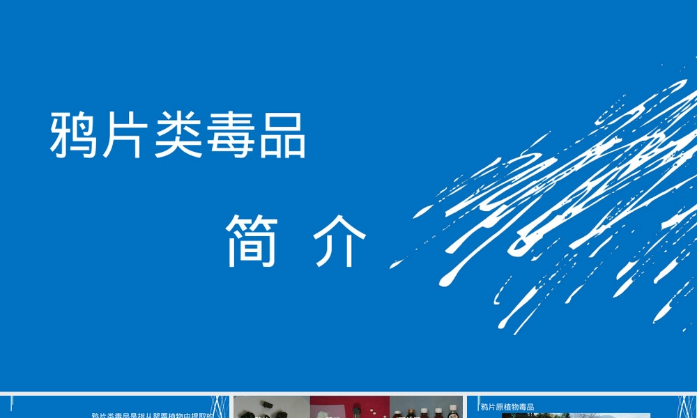 鸦片类毒品科普教育PPT课件.ppt
