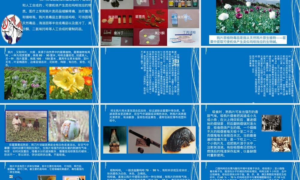 鸦片类毒品科普教育PPT课件.ppt