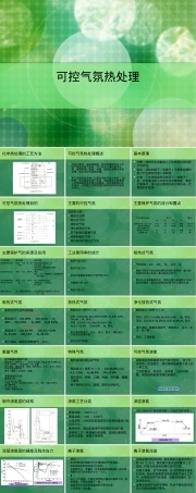 可控气氛热处理技术PPT课件.ppt