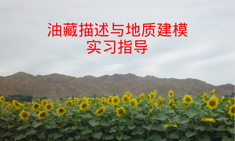 油藏描述与地质建模实习教学PPT课件.pptx