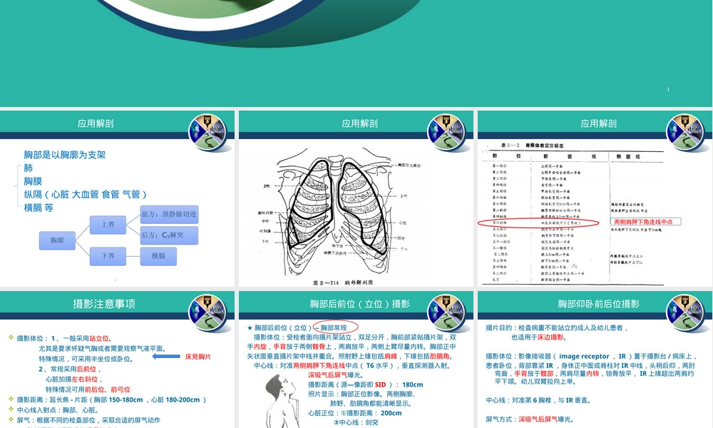 胸部正位摄影与质量控制PPT课件.ppt