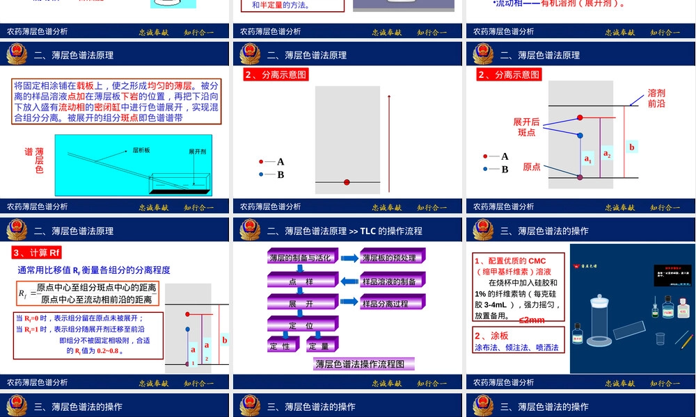 农药中毒案件薄层色谱分析教学PPT课件.ppt