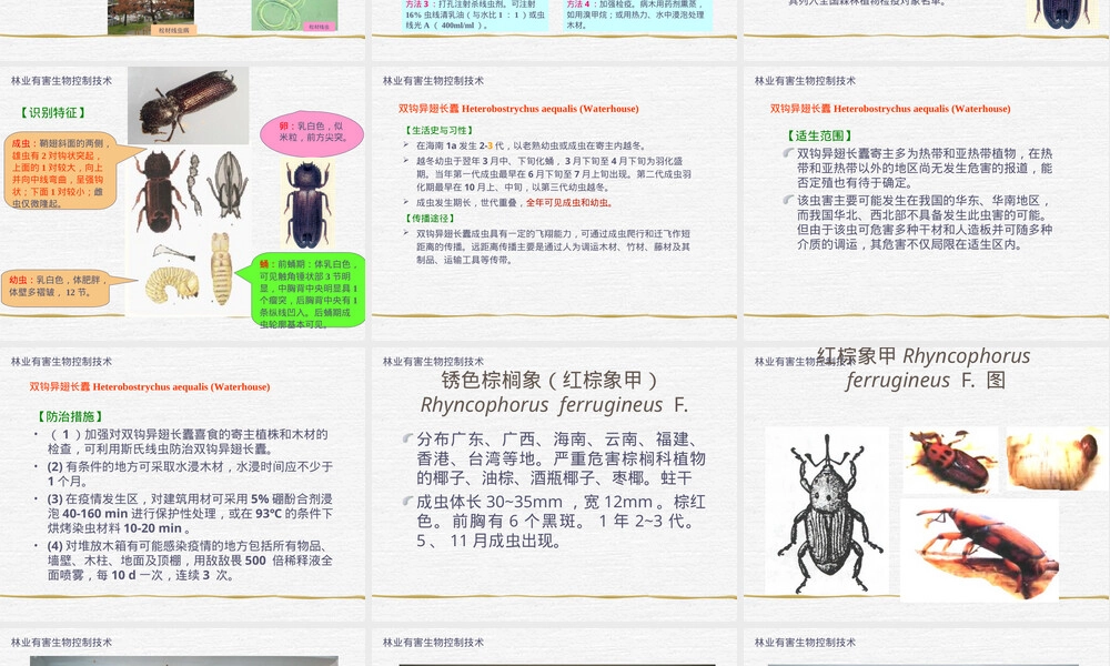 林业有害生物控制技术之检疫性有害生物认识PPT课件.ppt