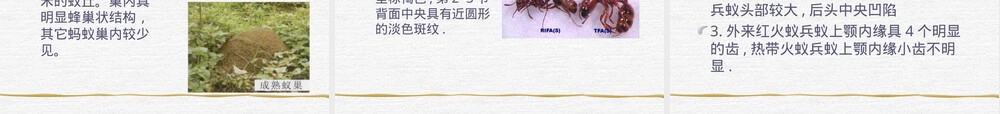 林业有害生物控制技术之检疫性有害生物认识PPT课件.ppt