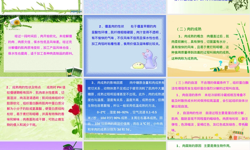 肉及肉制品检疫PPT课件.ppt