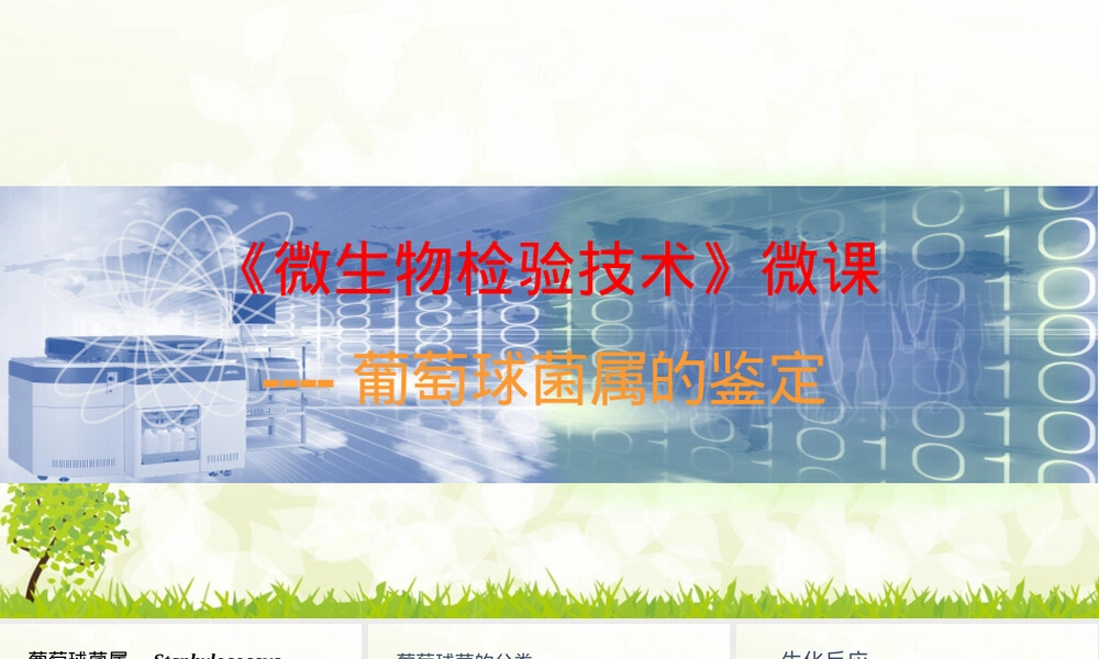 葡萄球菌属鉴定教学PPT课件.pptx