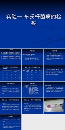 实验一布氏杆菌病检疫教学PPT课件.ppt