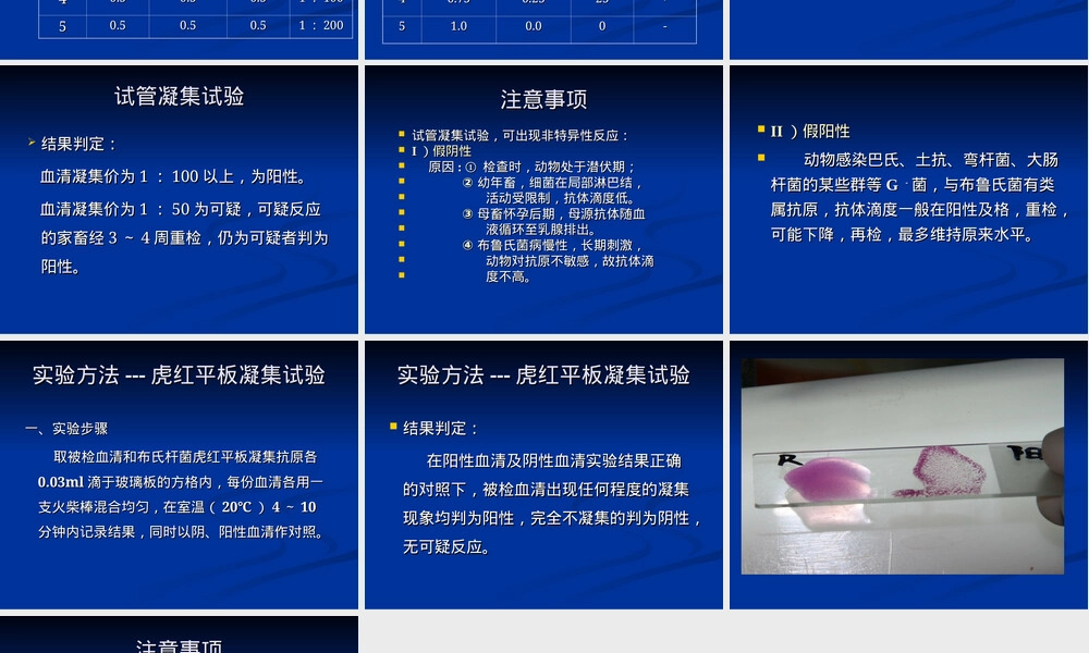 实验一布氏杆菌病检疫教学PPT课件.ppt