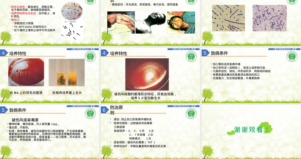 破伤风梭菌鉴定微课PPT课件.pptx