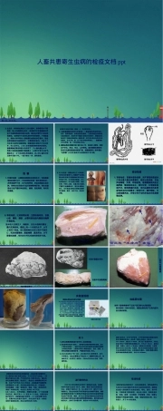 人畜共患寄生虫病检疫培训PPT课件.ppt