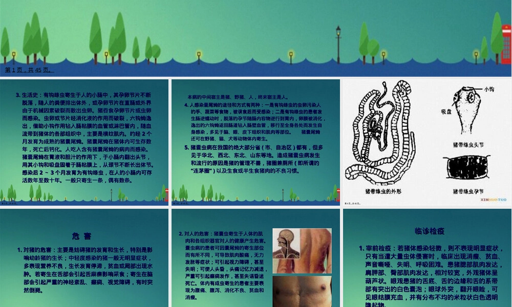 人畜共患寄生虫病检疫培训PPT课件.ppt