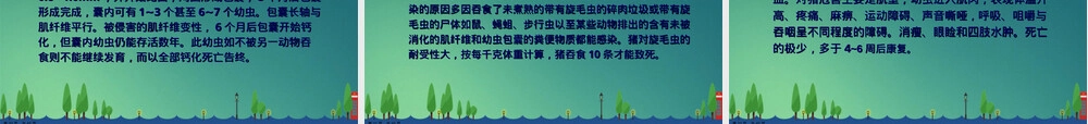 人畜共患寄生虫病检疫培训PPT课件.ppt