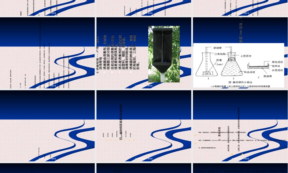 森林植物检疫检验PPT课件.ppt
