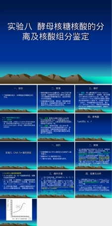 实验八酵母核糖核酸分离与组分鉴定PPT课件.ppt
