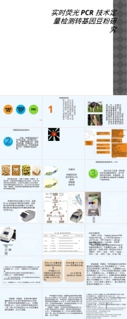 实时荧光PCR检测转基因豆粉PPT课件.ppt