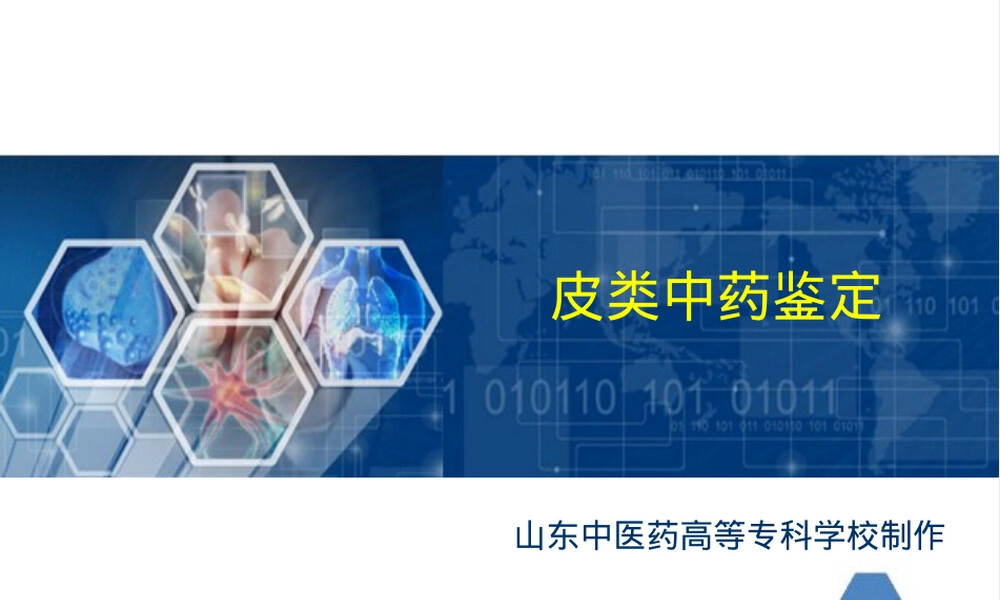 皮类中药的鉴定PPT课件.ppt