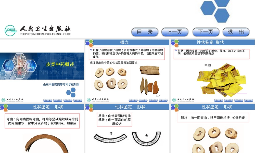 皮类中药的鉴定PPT课件.ppt