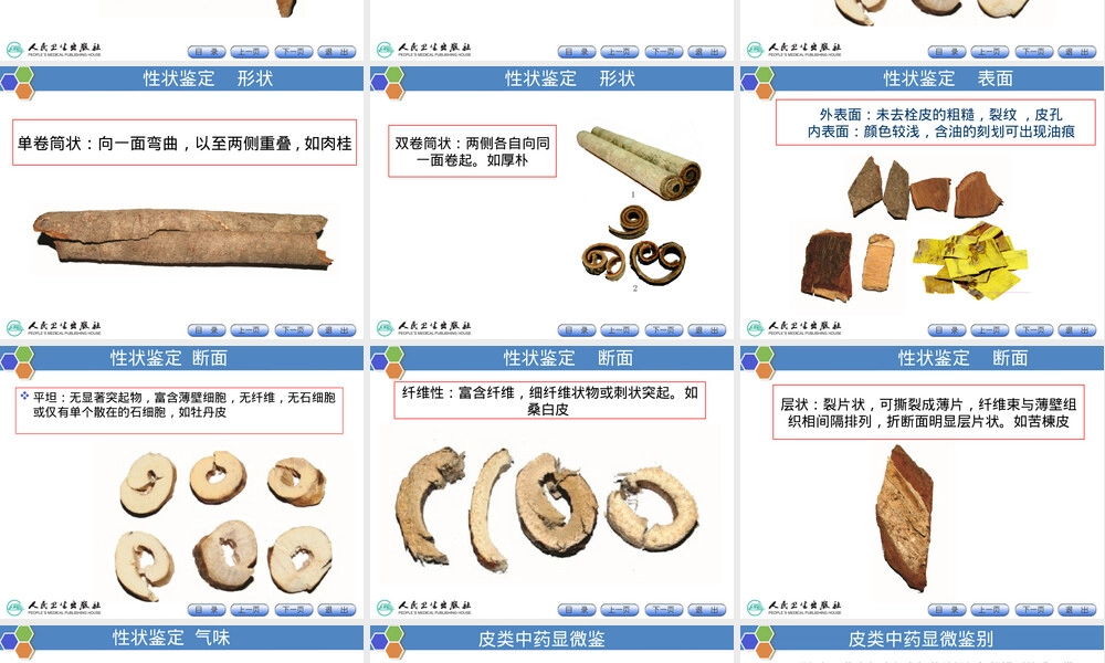 皮类中药的鉴定PPT课件.ppt