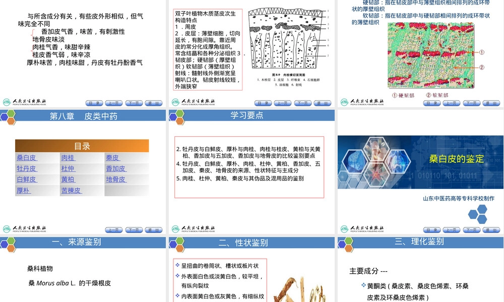 皮类中药的鉴定PPT课件.ppt