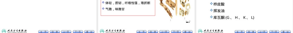 皮类中药的鉴定PPT课件.ppt