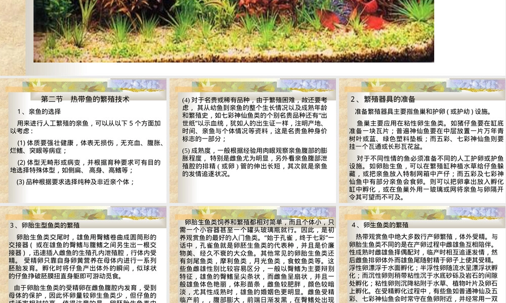 热带鱼繁殖与养殖技术PPT课件.ppt