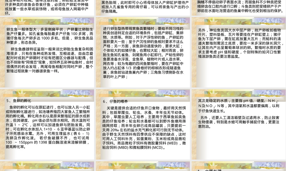 热带鱼繁殖与养殖技术PPT课件.ppt