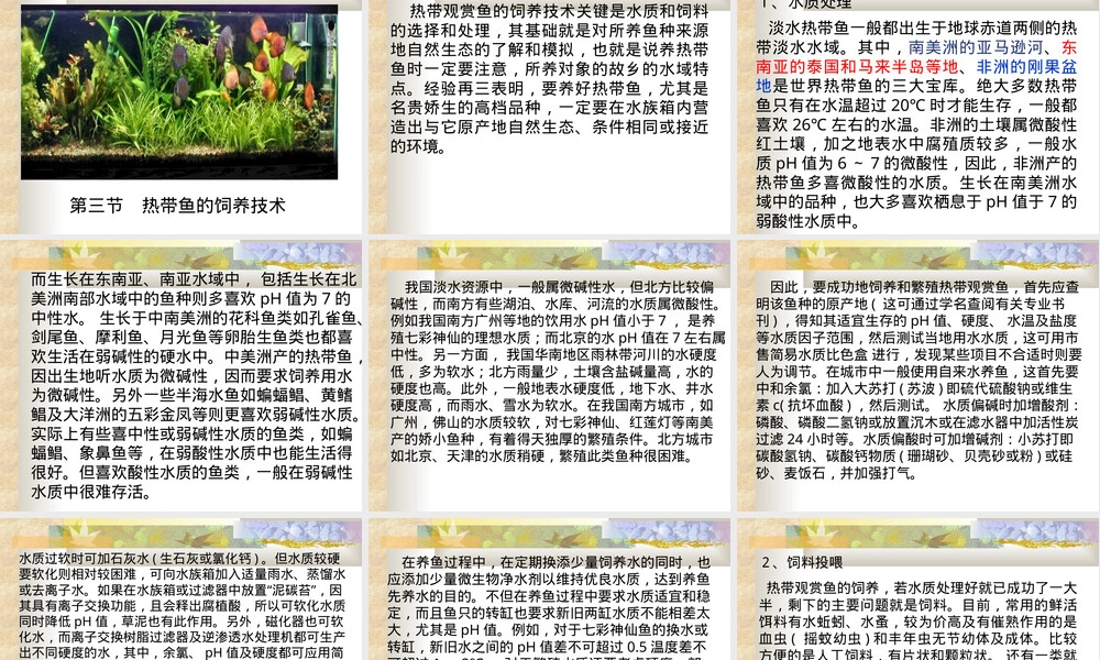 热带鱼繁殖与养殖技术PPT课件.ppt