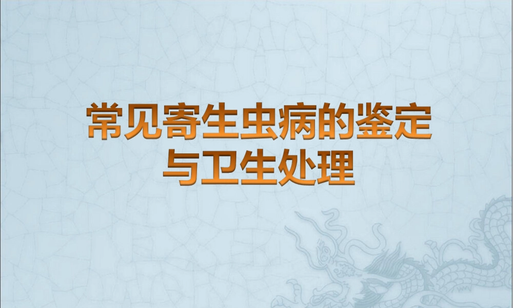 人畜寄生虫病鉴定与卫生处理PPT课件.ppt
