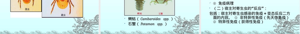 人畜寄生虫病鉴定与卫生处理PPT课件.ppt