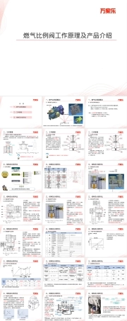 燃气热水器比例阀工作原理及产品介绍培训PPT课件.pptx