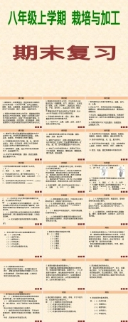 八年级上册劳动技术期末复习PPT课件.pptx