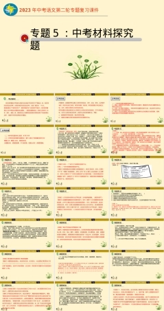 部编版语文中考二轮材料探究专题PPT课件.pptx