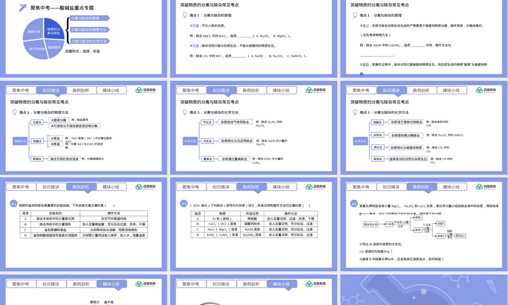 初中化学物质分离与除杂专题复习PPT课件.pptx