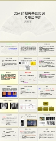 DSA的基本原理及高级运用PPT课件.ppt